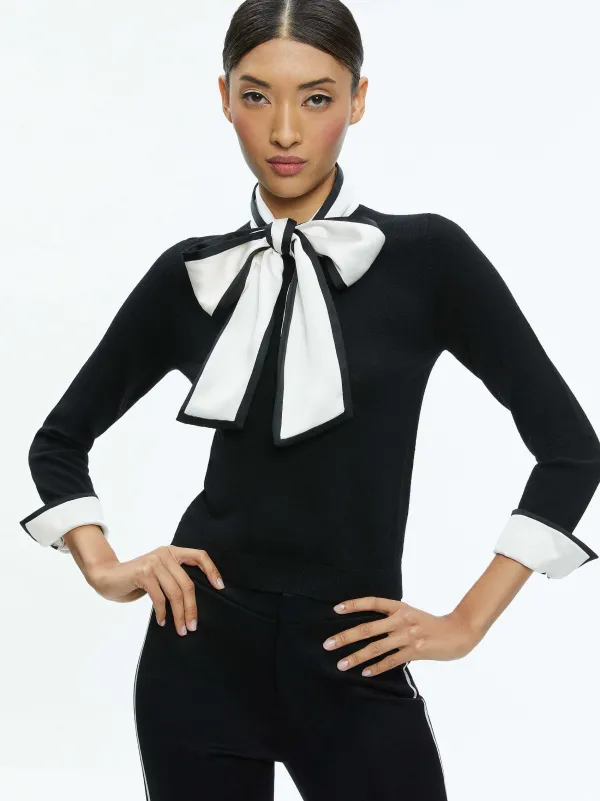 Women Alice and Olivia Justina Pullover