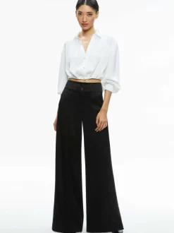 Women Alice and Olivia Pierre Pleated Back Button Down
