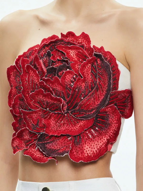 Women Alice and Olivia Randie Floral Applique Crop Top