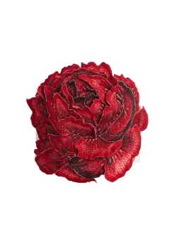 Women Alice and Olivia Randie Floral Applique Crop Top
