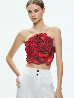Women Alice and Olivia Randie Floral Applique Crop Top