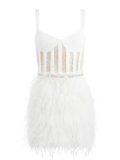 Women Alice and Olivia Xia Sheer Bustier Feathered Mini Dress